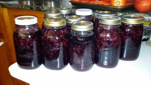 Concord grapes canned whole, the easy way